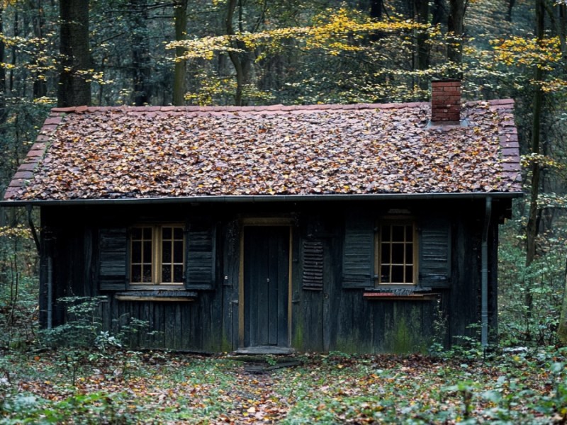 Eine gruselige Hütte. (KI-generiert)