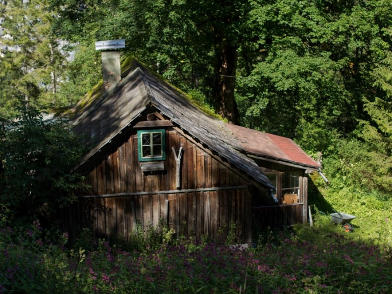 Eine HÃ¼tte im Wald.