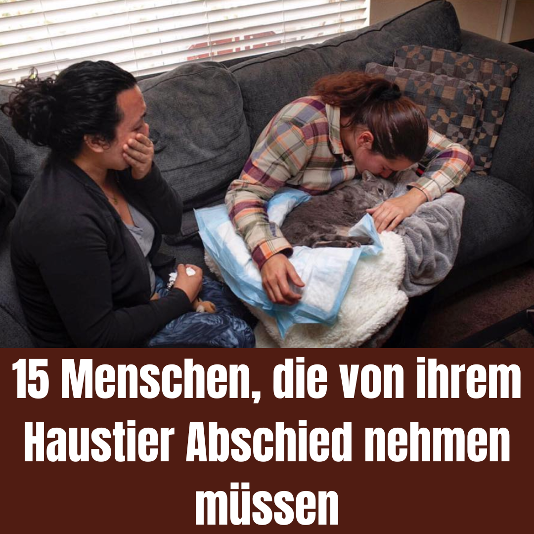 15 Menschen, die von ihrem Haustier Abschied nehmen müssen